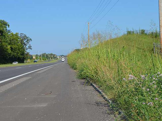 high-grassWEB