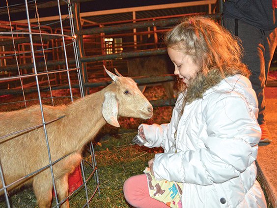 1 McKenzie Acre, goat.jpg