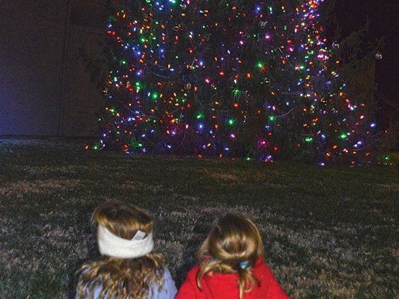 1 Girls looking at tree 1.jpg